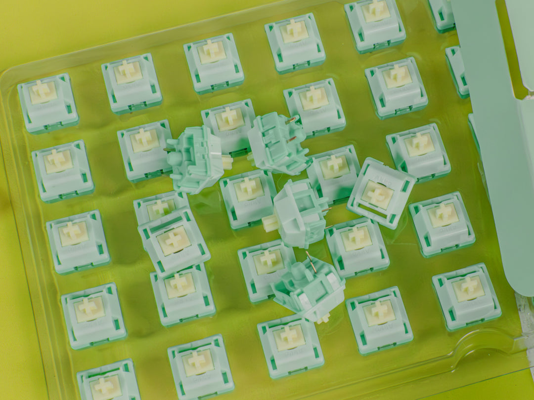 HMX - Keyboard Switches - Akko x HMX Cilantro Tactile Switches - Keebz N Cables