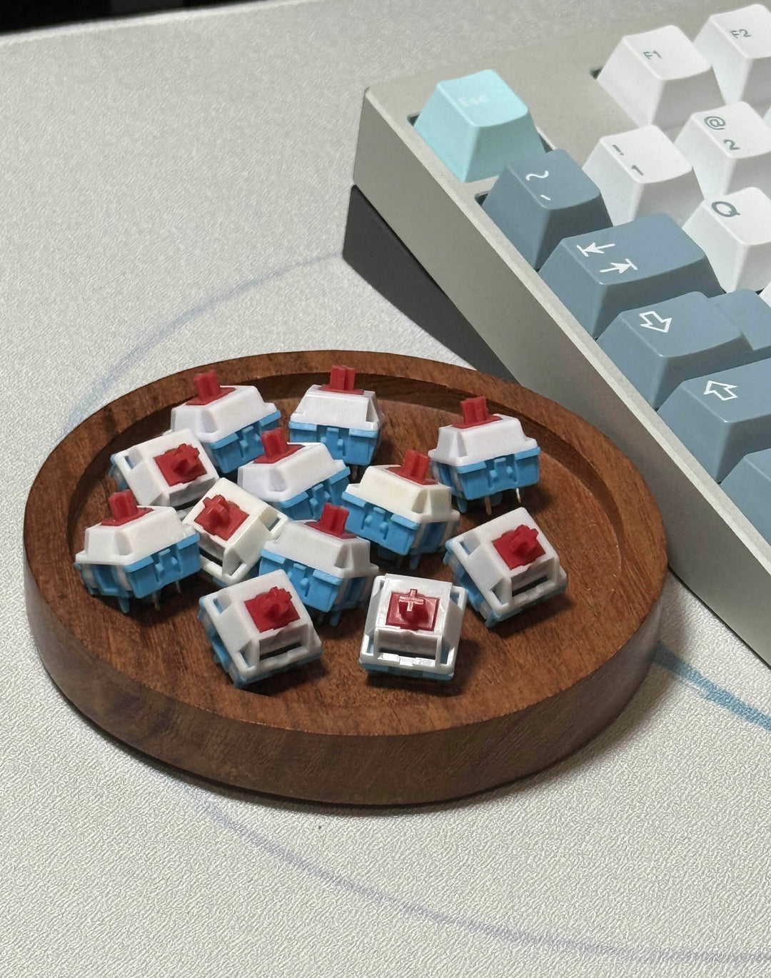 Akko x HMX Cilantro 촉각 스위치