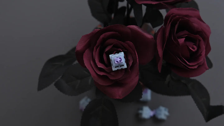 Moyu Studio - Keyboard Switches - Moyu Studio x XCJZ Snow Grape Linear Switches - Keebz N Cables