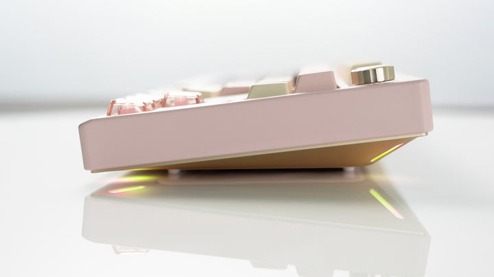 [Group-Buy] Zoom TKL Dyna Custom Keyboard Kit