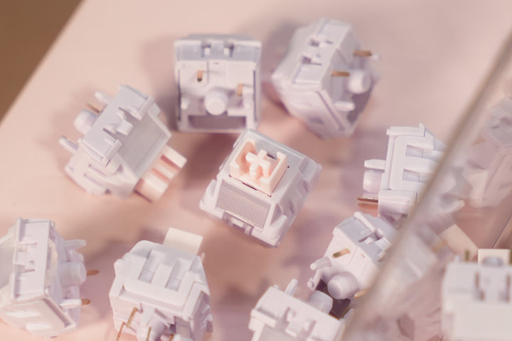 Wingtree x LICHICX Twilight Silent Linear Switches