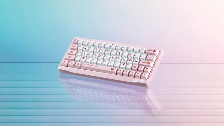 [Pre-Order] SF60 HE Custom Keyboard Kit