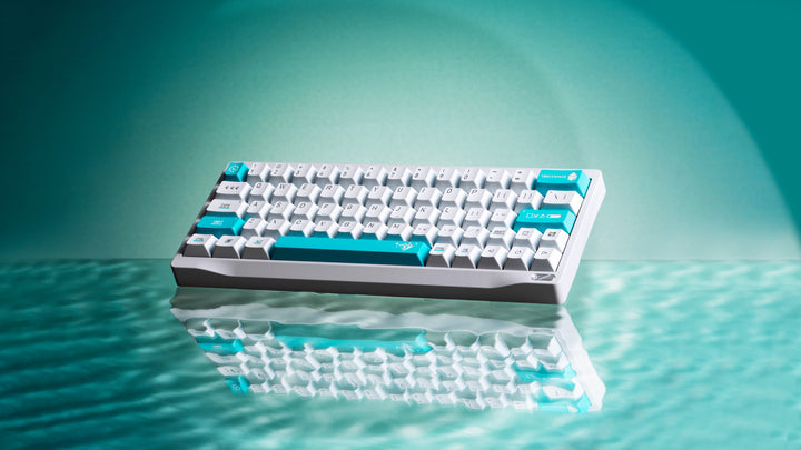 [Pre-Order] SF60 HE Custom Keyboard Kit