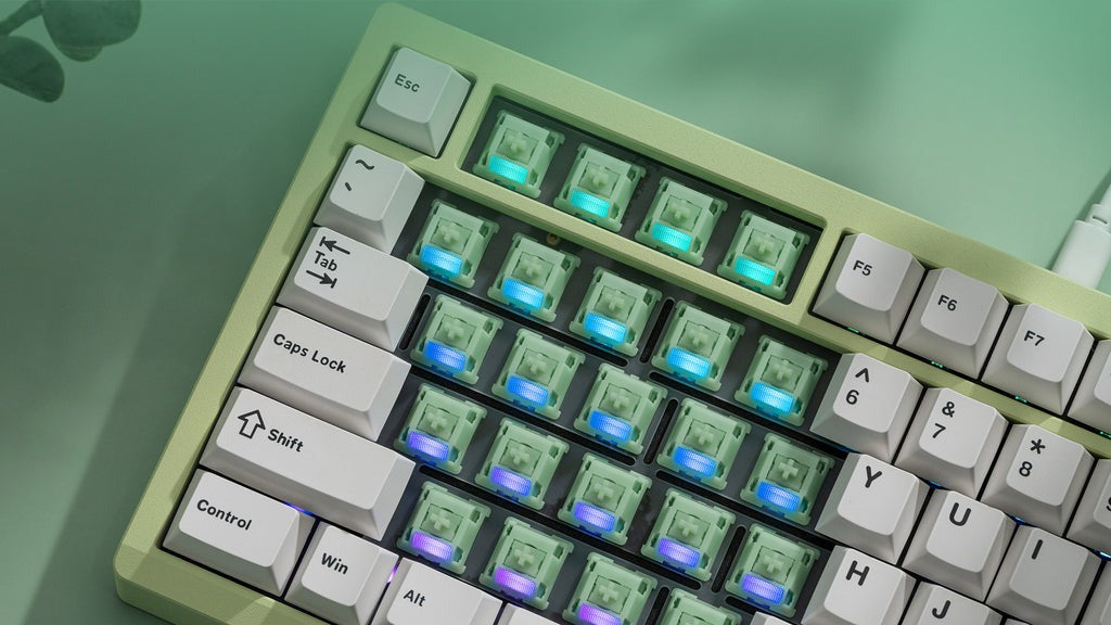 Wuque Studio - WS Jade Linear Switches