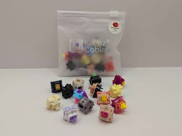 촉각적 갈증 유발 스위치 샘플러 - 10판