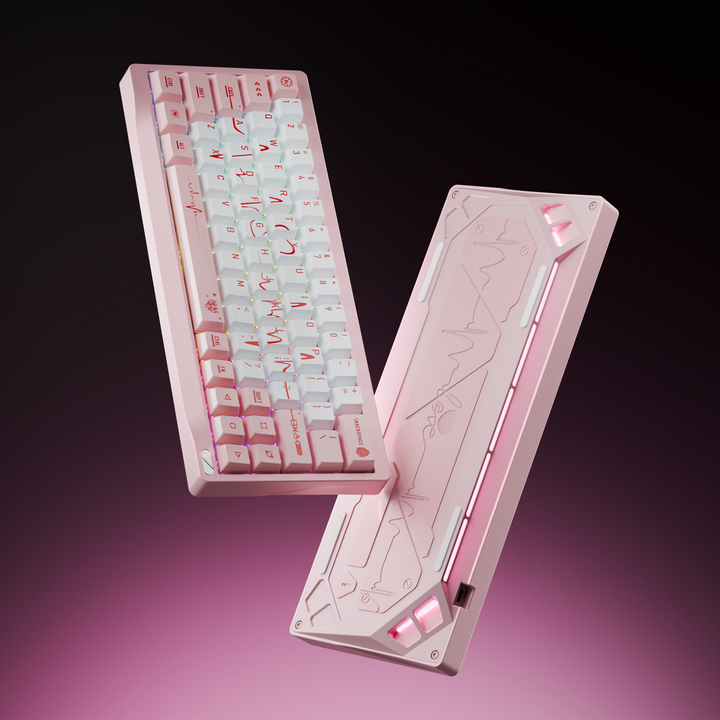 [Pre-Order] SF60 HE Custom Keyboard Kit
