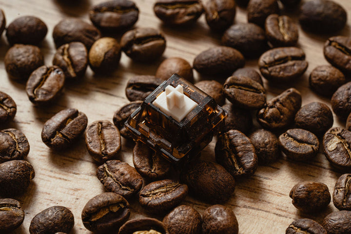Dangkeebs - Keyboard Switches - DK Roastery - Iced Latte Linear Switches - Keebz N Cables