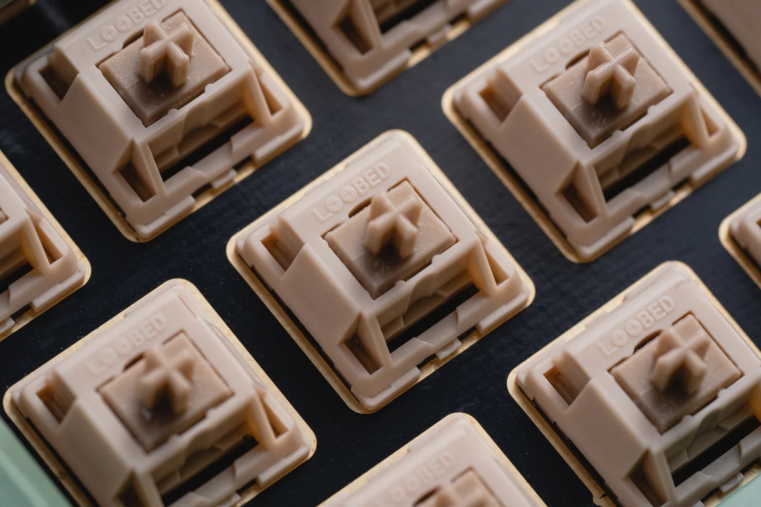 [Pre-order] Loobed Oak Tactile Switches (Hand Lubed/Unlubed) - Keebz N CablesKeyboard Switches